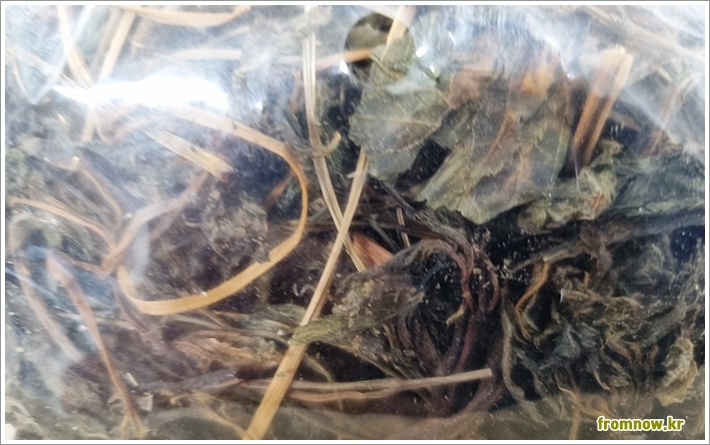 눈개승마 효능 부작용과 올바른 먹는법 안내 눈개승마 효능 부작용과 올바른 먹는법 안내