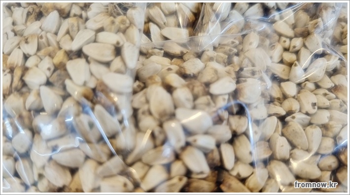 홍화씨 효능 부작용과 최적의 먹는법 완벽 가이드 홍화씨 효능 부작용과 최적의 먹는법 완벽 가이드