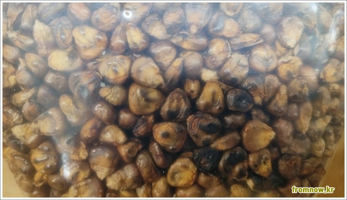 옥수수차 효능과 부작용 및 끓이는 법 완벽 가이드