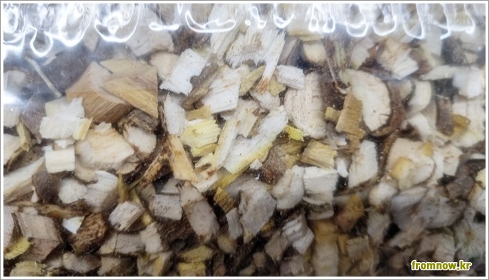 참 옻 효능 부작용 하루 섭취량 완벽 가이드