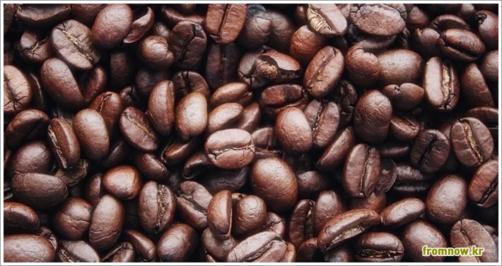 커피 효능과 부작용 및 하루 섭취량 완벽 가이드