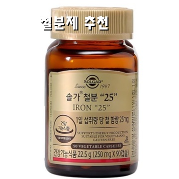 철분제로 건강 챙기기 좋은 추천 제품 안내