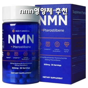 효과적인 nmn 영양제 추천과 선택 가이드