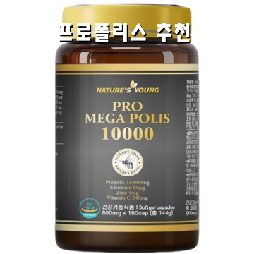 효능과 사용법으로 알아보는 프로폴리스 추천 가이드