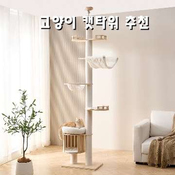 고양이 캣타워 추천으로 우리 고양이에게 최적의 쉼터 만들기
