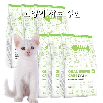 고양이 사료 추천과 선택 가이드 완벽한 영양섭취를 위한 팁