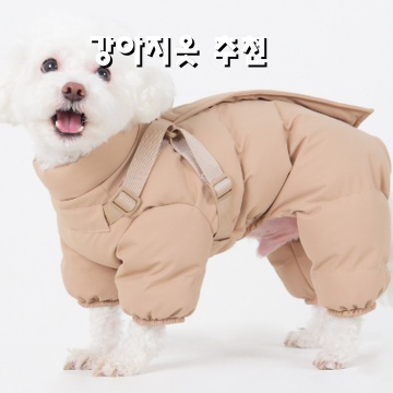 강아지옷추천 인기 스타일과 기능성 아이템 소개 강아지옷추천 인기 스타일과 기능성 아이템 소개