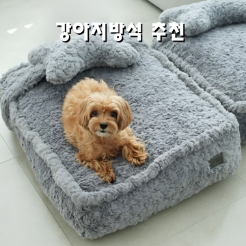 강아지방석 추천 최고의 선택으로 우리 강아지에게 편안함을 선사하세요