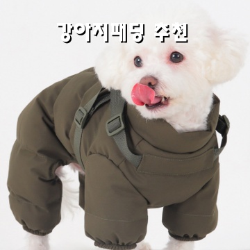 강아지를 위한 최고의 패딩 추천과 스타일 팁