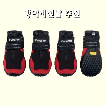 강아지 신발 추천과 선택 가이드로 반려견 발 보호하기