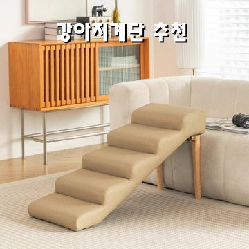 최고의 강아지 계단 선택 가이드와 추천 제품 리뷰 최고의 강아지 계단 선택 가이드와 추천 제품 리뷰