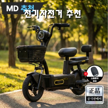 전기자전거 추천 최고의 선택과 구매 가이드